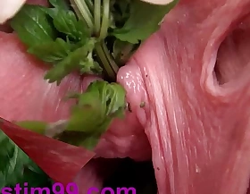 Nettles in peehole urethral insertion nettles & fisting cunt