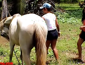 Real mediocre teens heather deep and girlfriend love horse cock